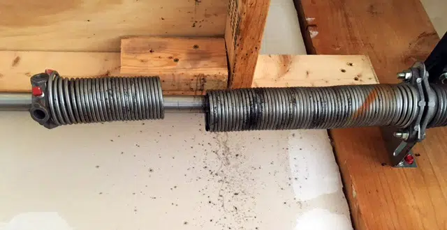 The Moment a Spring Snaps What Actually Happens